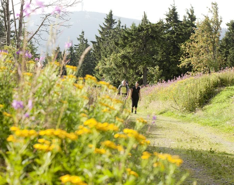 Mit dem Rucksack das Erzgebirge entdecken Mit dem Rucksack das Erzgebirge entdecken