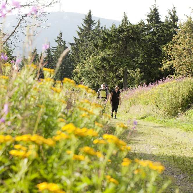 Mit dem Rucksack das Erzgebirge entdecken