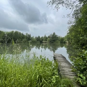Ziegeleiteich.jpeg Blick auf den Ziegeleiteich mit Steg