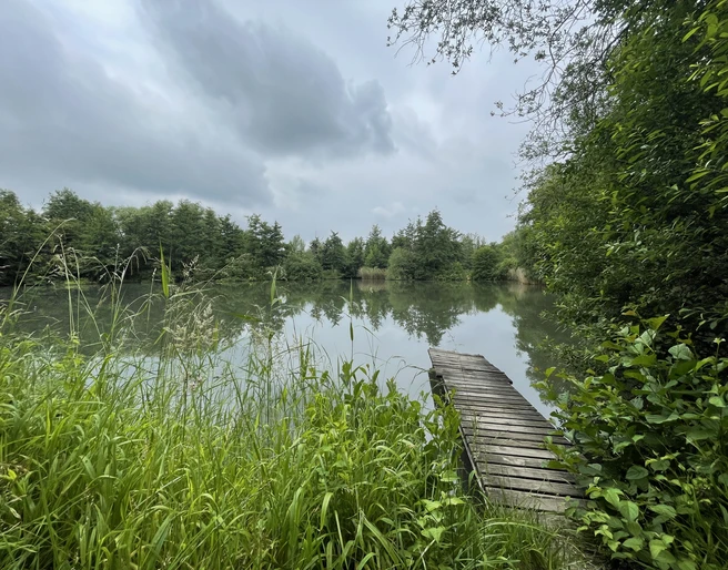 Ziegeleiteich.jpeg Blick auf den Ziegeleiteich mit Steg