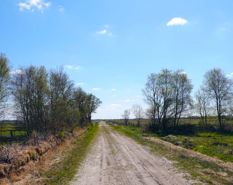 Esterwegen Melmmoor