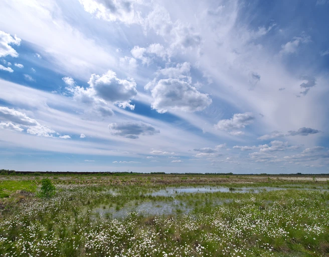 Leegmoor ©Naturpark Hümmling