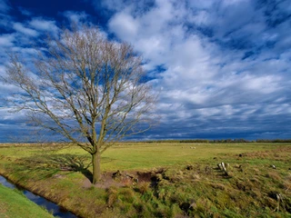 Leegmoor ©Naturpark Hümmling