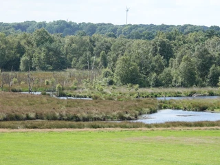 Vreeser Wiesen ©Emsland Tourismus