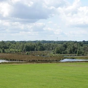 Vreeser Wiesen ©Emsland Tourismus