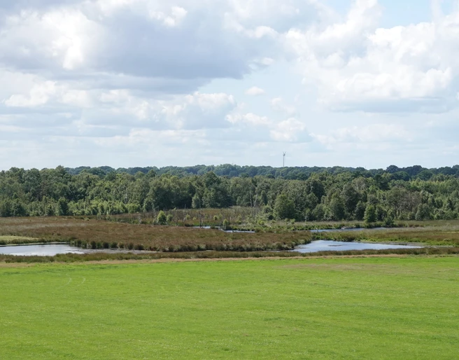 Vreeser Wiesen ©Emsland Tourismus