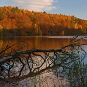 Möllner Schmalsee