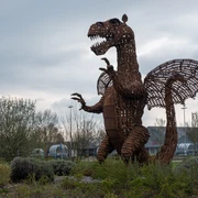 Drache Godart Wachtberg 2021 Frühling Wachtberg