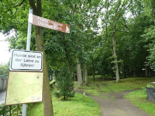 Dürings Park  Wegweiser im Dürings Park zu Freilichtbühne, umgeben von hohen, grünen Laubbäumen und einem Pfad.