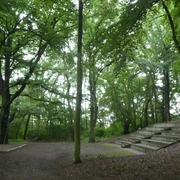Dürings Park Freilichtbühne Freilichtbühne in bewaldeter Umgebung mit hölzernen Sitzstufen und lichtdurchfluteten Baumkronen.