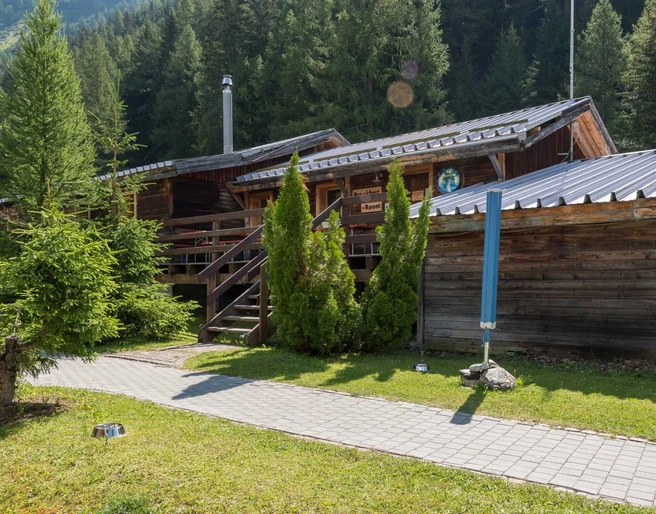 Forest Lodge & Camping