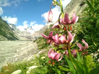 Lautaarhütte Lautaarhütte
