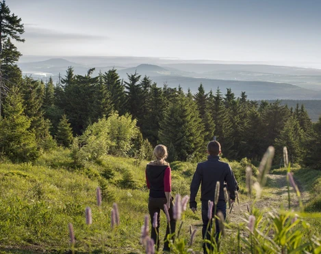 Die Frühlingswanderwochen sind im Erzgebirge angekommen | Foto: Katja Fouad Vollmer Die Frühlingswanderwochen sind im Erzgebirge angekommen | Foto: Katja Fouad Vollmer