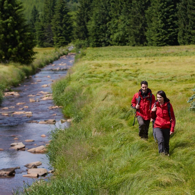 Das Erzgebirge lässt sich auf seinen vielen Wanderpfaden wunderbar erkunden | Foto: Marcus Gloger