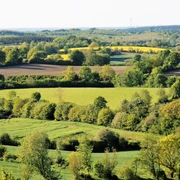 pilze-373natur.jpg Knicks mit Feldern, Wiesen und Wäldern