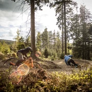 flowtrail-willingen-rasant-bergab c) leopold-hermann-mtb-zone-bikepark-willingen.jpg