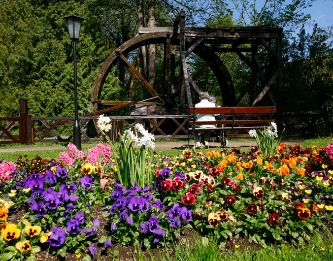 Historisches Wasserrad II.JPG