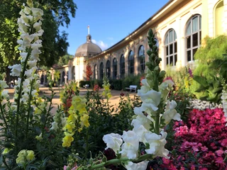 wandelhalle-bad-harzburg
