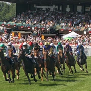 galopprennbahn-bad-harzburg
