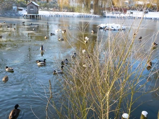 Hintz-Park im Winter