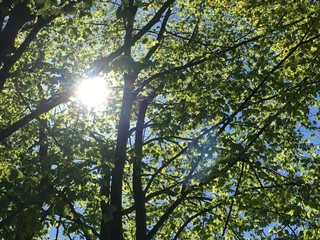 Stöfenpark im Frühjahr