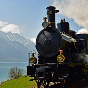 bruenig-dampfbahn-unterwegs-nach-brienz-brienzersee-fruehling.jpg