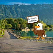 boenigen-schatzsuche-bild-adler-brienzersee-sommer.jpg