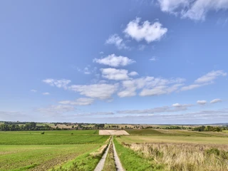 Ruhebank nördlich von Groß Denkte mit Ausblick Richtung Wendessen, Wolfenbüttel, Ahlum, Nördliches Harzvorland, Niedersachsen, Deutschland Ruhebank nördlich von Groß Denkte mit Ausblick Richtung Wendessen, Wolfenbüttel, Ahlum, Nördliches Harzvorland, Niedersachsen, Deutschland