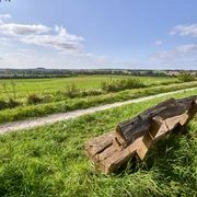 Ruhebank nördlich von Groß Denkte mit Ausblick Richtung Wendessen, Wolfenbüttel, Ahlum, Nördliches Harzvorland, Niedersachsen, Deutschland Ruhebank nördlich von Groß Denkte mit Ausblick Richtung Wendessen, Wolfenbüttel, Ahlum, Nördliches Harzvorland, Niedersachsen, Deutschland