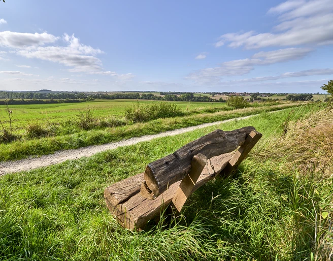 Ruhebank nördlich von Groß Denkte mit Ausblick Richtung Wendessen, Wolfenbüttel, Ahlum, Nördliches Harzvorland, Niedersachsen, Deutschland Ruhebank nördlich von Groß Denkte mit Ausblick Richtung Wendessen, Wolfenbüttel, Ahlum, Nördliches Harzvorland, Niedersachsen, Deutschland