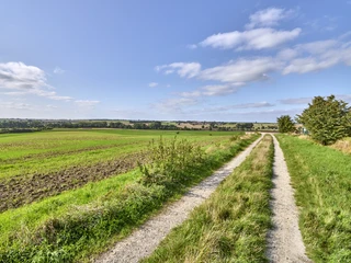Ruhebank nördlich von Groß Denkte mit Ausblick Richtung Wendessen, Wolfenbüttel, Ahlum, Nördliches Harzvorland, Niedersachsen, Deutschland Ruhebank nördlich von Groß Denkte mit Ausblick Richtung Wendessen, Wolfenbüttel, Ahlum, Nördliches Harzvorland, Niedersachsen, Deutschland