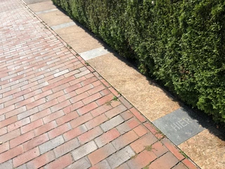 Synagoge Hoya Eine gepflasterte Fläche neben einer Hecke mit quadratischen Steinen, einer mit der Gravur "Hier".