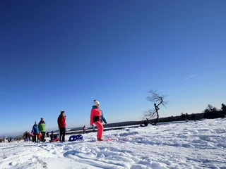 Familie mit Kindern auf Schlitten wandert auf dem Ettelsberg  Familie mit Kindern auf Schlitten wandert auf dem Ettelsberg