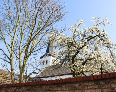 Kath. Kirche St. Markus 2021 Frühling Bornheim