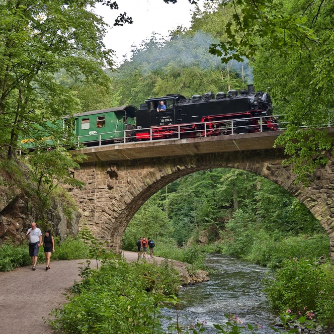 Weißeritztalbahn-Rabenauer-Grund-Wanderer-Foto_TVE.jpg