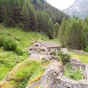 Taferna