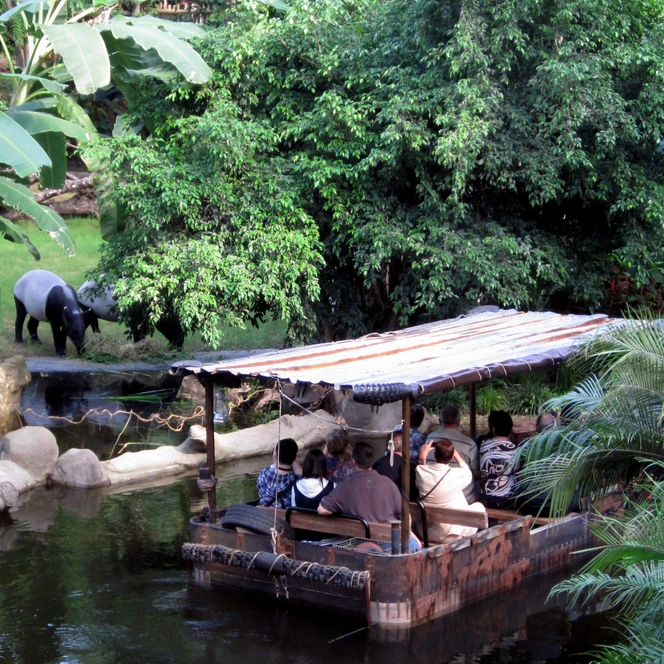 Tapire im Gehege – Gondwanaland im Zoo Leipzig | Foto: Zoo Leipzig