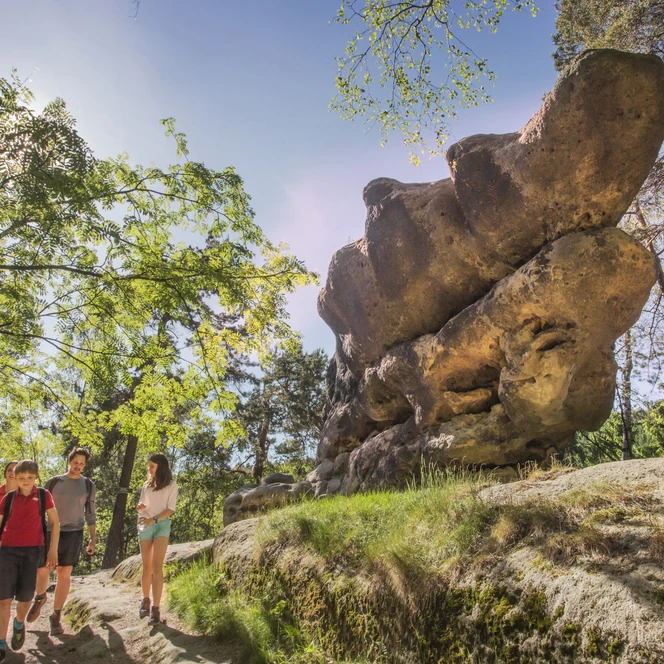 Im Steinzoo im Zittauer Gebirge begegnet man auch einem Krokodil. | Foto: Katja Fouad Vollmer