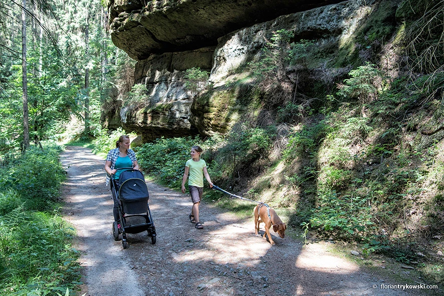 Mit dem Kinderwagen auf Wanderung | Foto: Florian Trykowksi