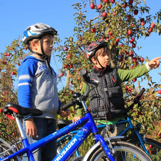 Auf der Obstland-Route gibt es viel zu entdecken. | Foto: Andreas Schmidt
