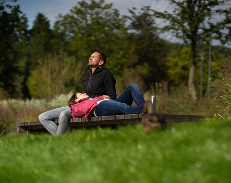 Grüne Oase: Der Waldkurpark in Bad Iburg