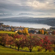 Hallwilersee