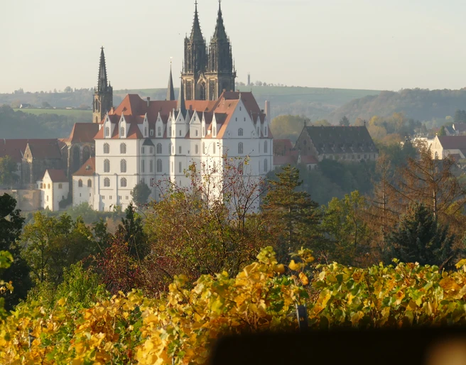 Blick von Schloss Proschwitz auf Meißen, Radebeul
