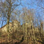 Waldansicht Jägerhaus Sehlde.jpg