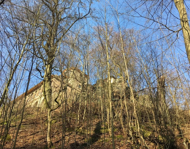 Waldansicht Jägerhaus Sehlde.jpg