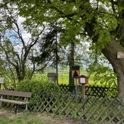 Stempelstation 11 Cholera Friedhof.jpg