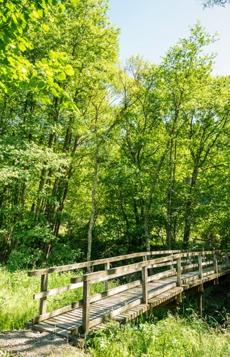 Idyllische Brücke auf der Eifelgold Route