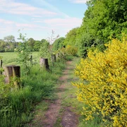 Eifelsteig-Wanderweg