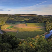 Felsenweg 4 - Ralingen-Rosport