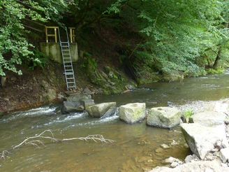 Trittsteine über die Irsen